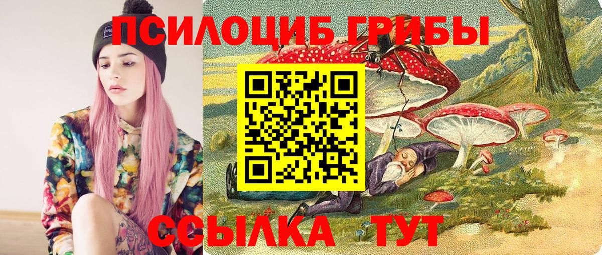 Псилоцибиновые грибы прущие грибы  Галлюциногенные грибы Magic Shrooms  Верхняя Пышма  закладки  Вход с VPN 